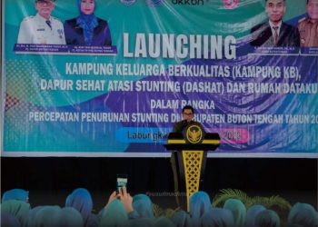 Kegiatan Diseminasi Pembentukan BRIDA Se-Sultra Resmi Dibuka