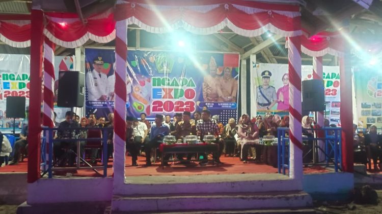 Ngapa Ekspo Tahun 2023 Dapat Membangkitkan UMKM Lokal di Kolaka Utara