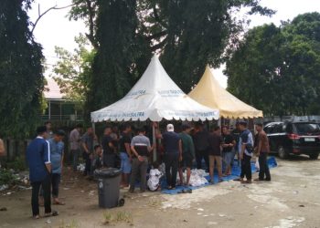 Bank Sultra Salurkan 26 Ekor Sapi sebagai Hewan Kurban ke Sejumlah Wilayah di Sultra, Peringati Idul Adha