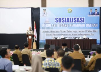 Ketua DPRD dan Sekda Sultra Harap Hasil Evaluasi APBD Perubahan Tahun 2024 Dari Kemendagri Turun Minggu Ini