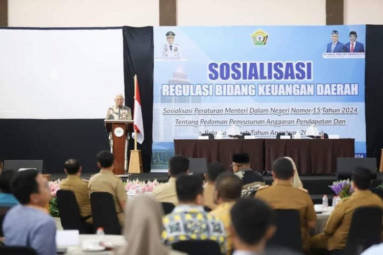 Ketua DPRD dan Sekda Sultra Harap Hasil Evaluasi APBD Perubahan Tahun 2024 Dari Kemendagri Turun Minggu Ini