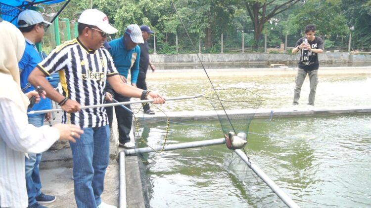 Rektor Prof. Zamrun Hadiri Panen Ikan Hasil Budidaya FPIK UHO