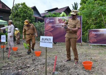 Disbunnak Kolut Peringati Hari Kakao Sedunia di Rangkaikan Penanaman Pohon Kakao Sebagai Simbol Kehidupan Masa Depan Industri Kakao