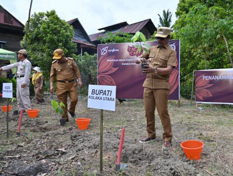 Disbunnak Kolut Peringati Hari Kakao Sedunia di Rangkaikan Penanaman Pohon Kakao Sebagai Simbol Kehidupan Masa Depan Industri Kakao