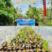 Eksplorasi Flora Wakatobi 2026, Kebun Raya UHO Temukan 132 Koleksi Baru