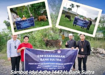 Sambut Idul Adha 1447 H, Bank Sultra Salurkan CSR 23 Ekor Sapi Kurban ke Seluruh Wilayah Sulawesi Tenggara