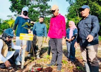 Aksi Hijau di Kampus, 30 Jenis Pohon Endemik Sulawesi Ditanam di Kebun Raya UHO