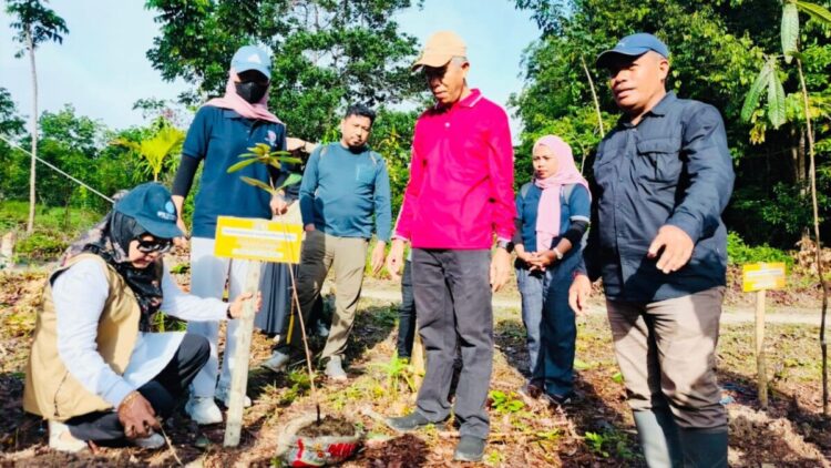 Aksi Hijau di Kampus, 30 Jenis Pohon Endemik Sulawesi Ditanam di Kebun Raya UHO